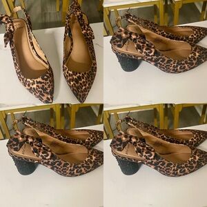 🐆🤎 Torrid Betsy Johnson Collection Kitten Heels Size 11W